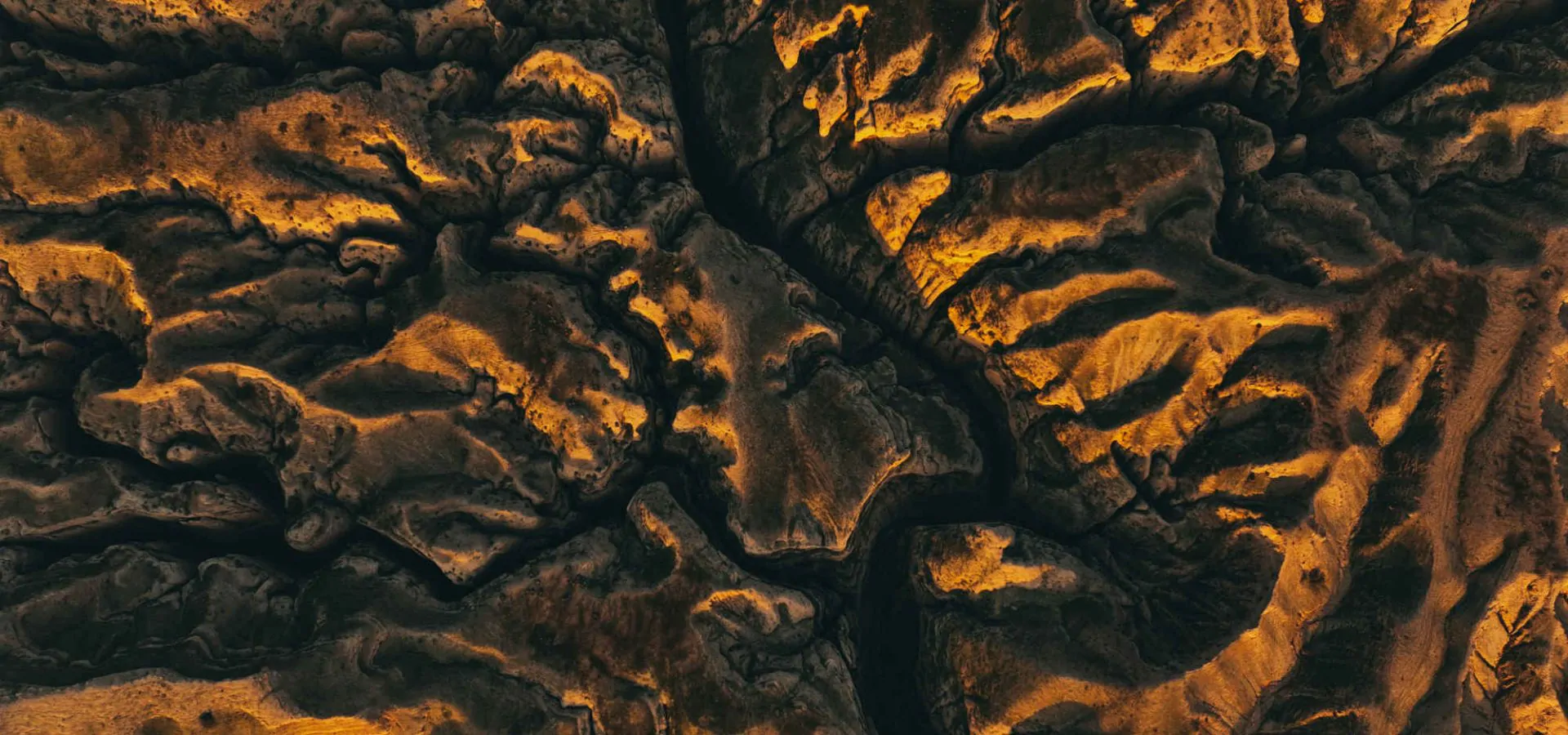 naeim-jafari-B3Ny7kIto9M-unsplash